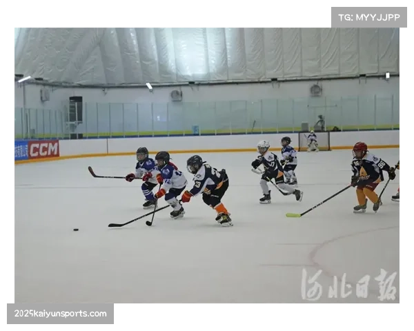 气候变化的挑战：北美部分室外冰场季节缩短对基层冰球的影响调查